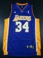 /album/los-angeles-lakers/swingman-hole-aaa0285-jpg/